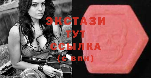 шишки Коряжма