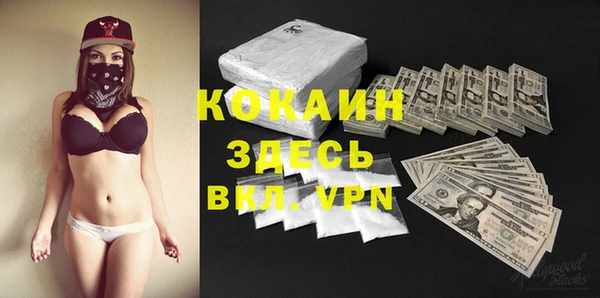 шишки Коряжма