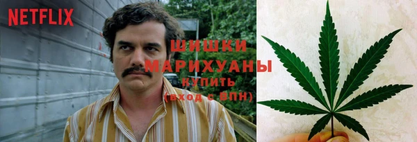 спайс Корсаков