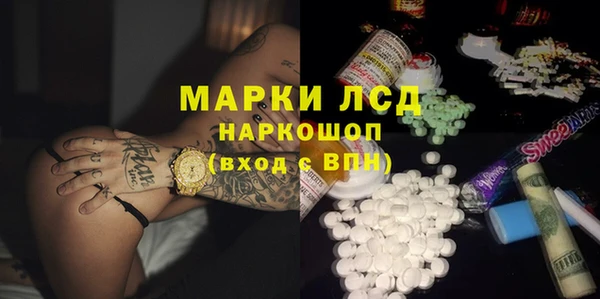 спайс Корсаков