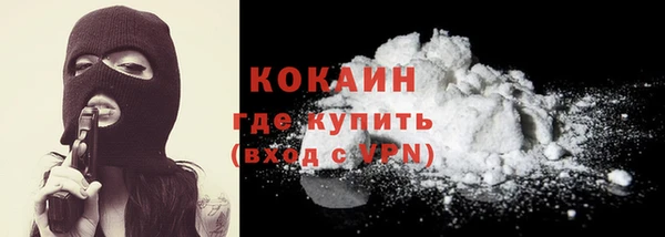 шишки Коряжма