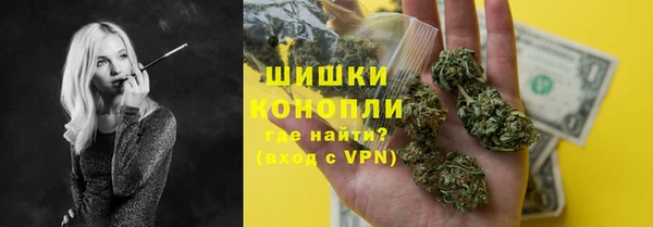 шишки Коряжма