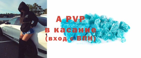 шишки Коряжма