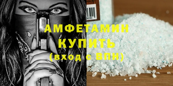 шишки Коряжма