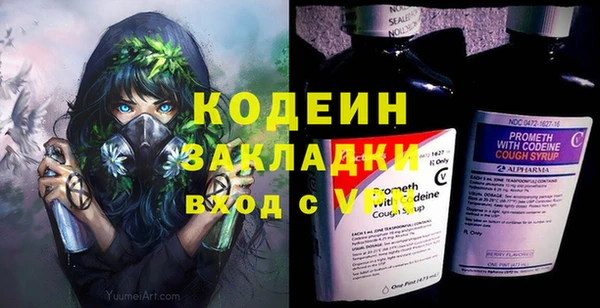 шишки Коряжма