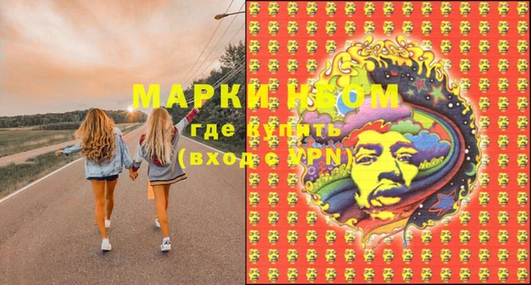 спайс Корсаков