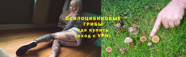 шишки Коряжма