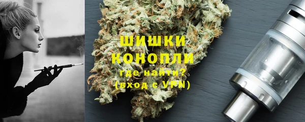 спайс Корсаков