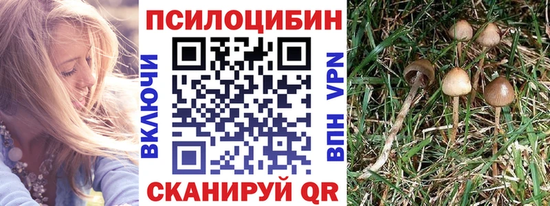 Псилоцибиновые грибы GOLDEN TEACHER кракен ССЫЛКА Чернушка